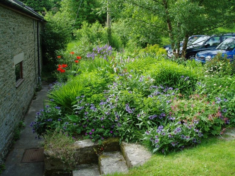 Mocktree’s Rear Garden