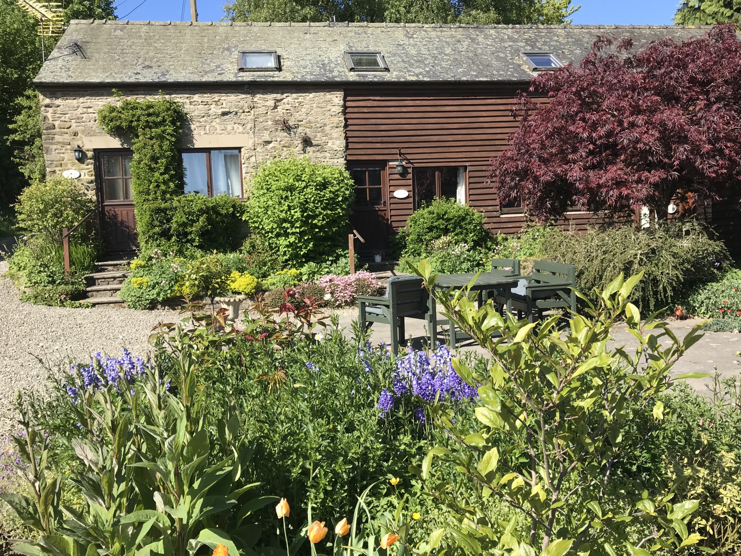 Mocktree’s shared south facing courtyard