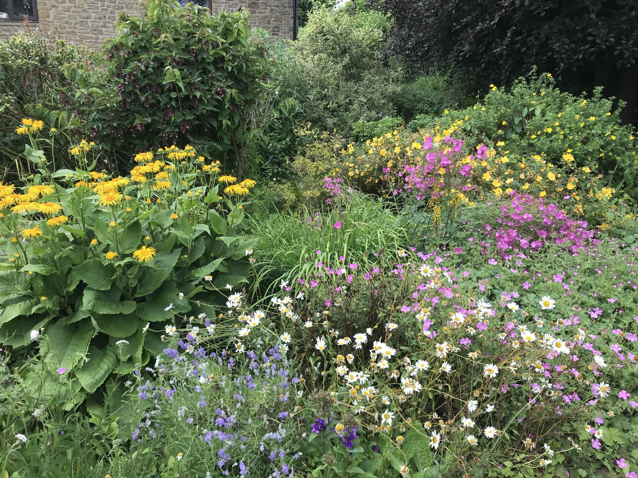 Our gardens