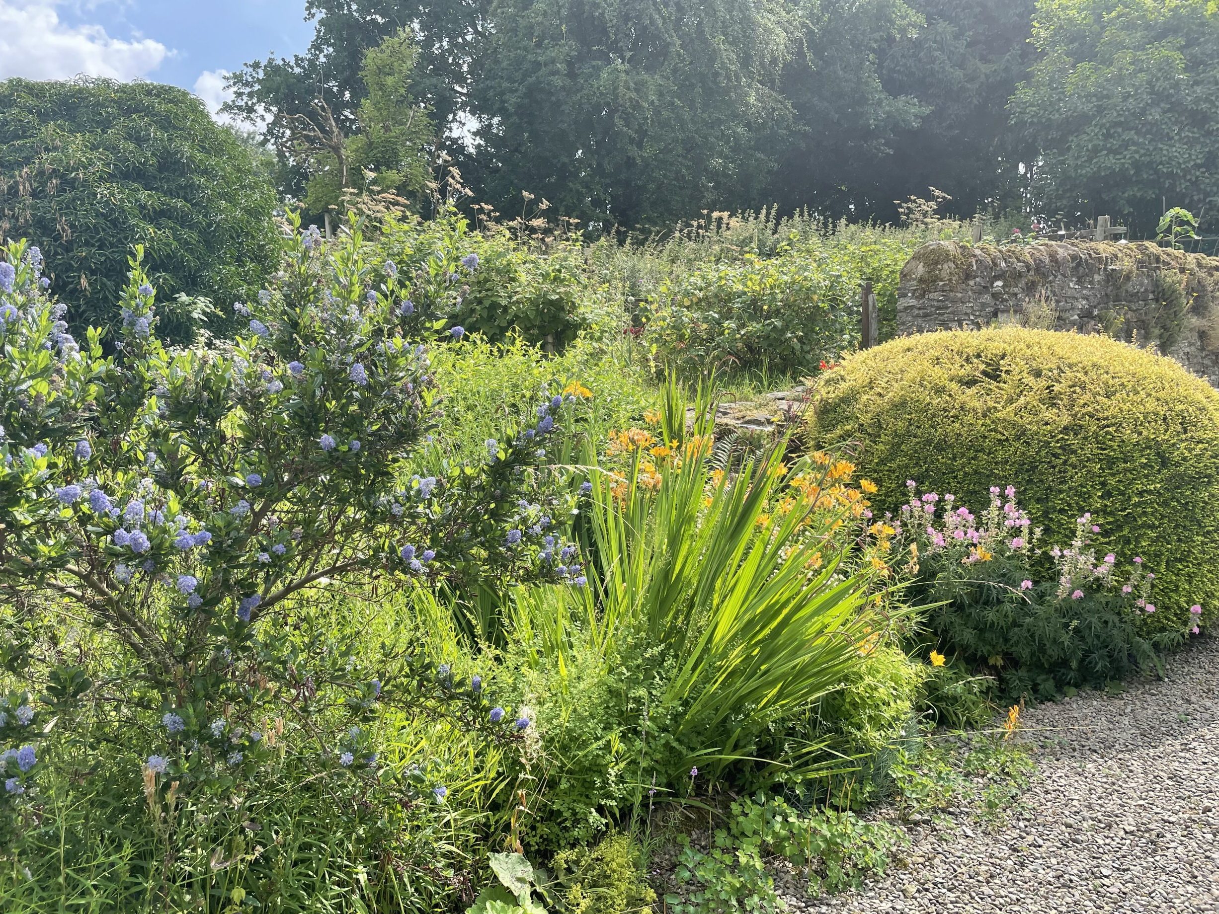 Our gardens