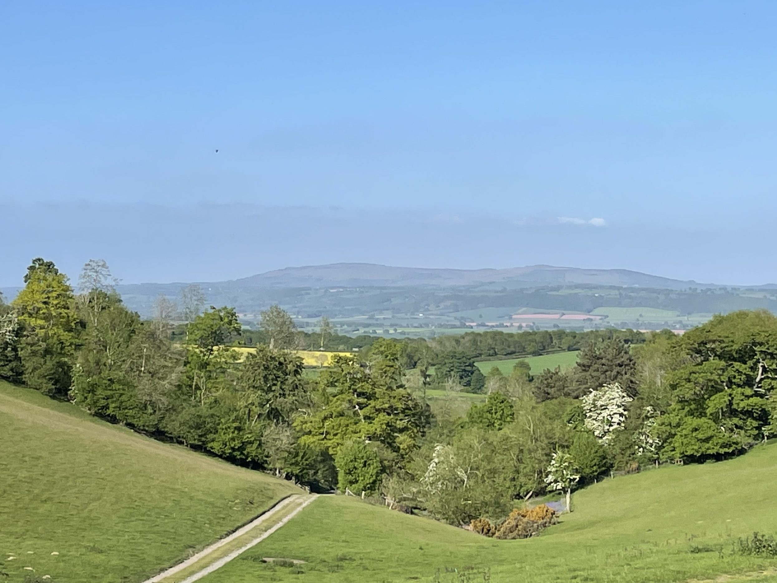 Views from Mocktree’s garden