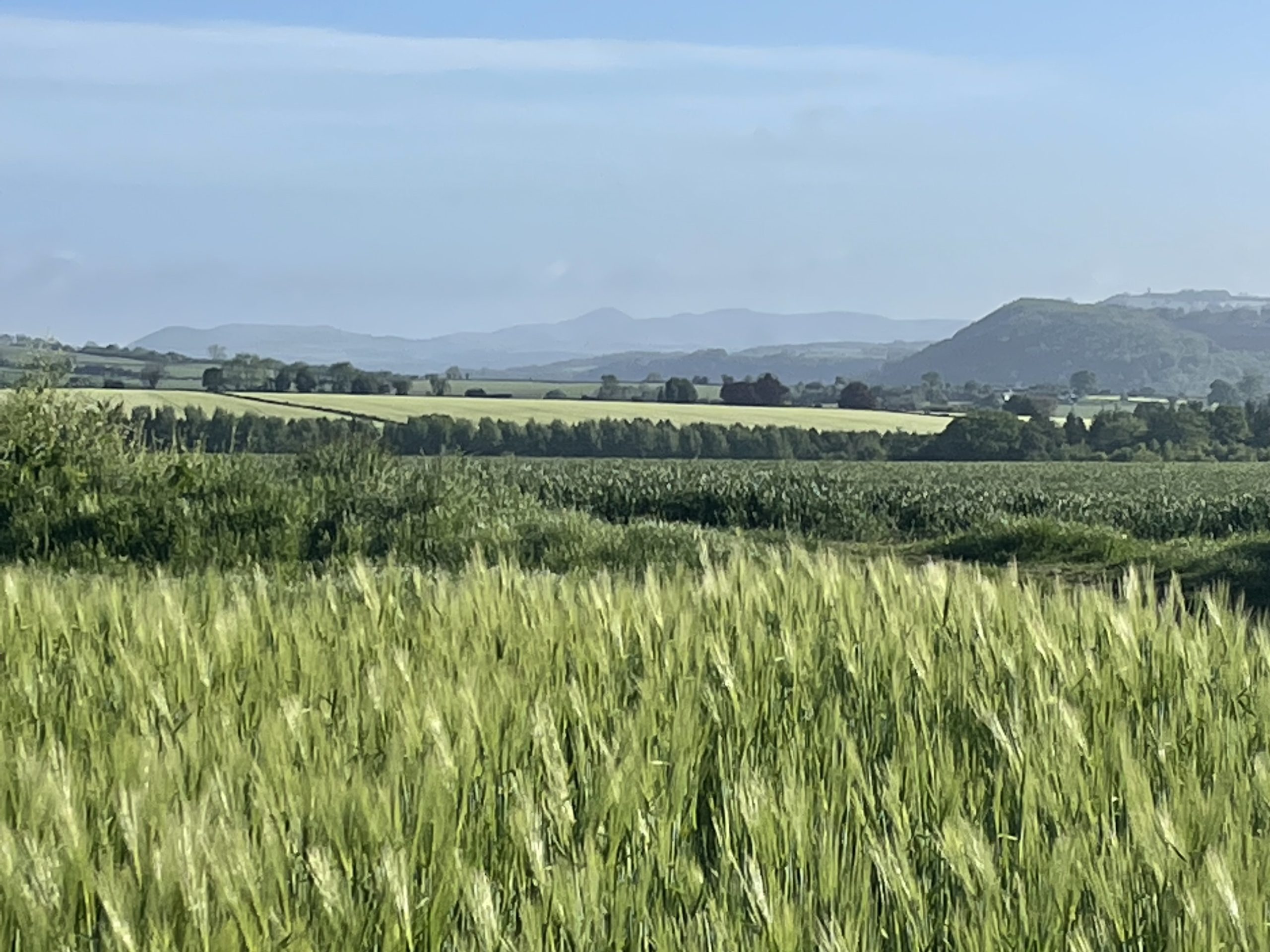 Stunning views are only a short walk