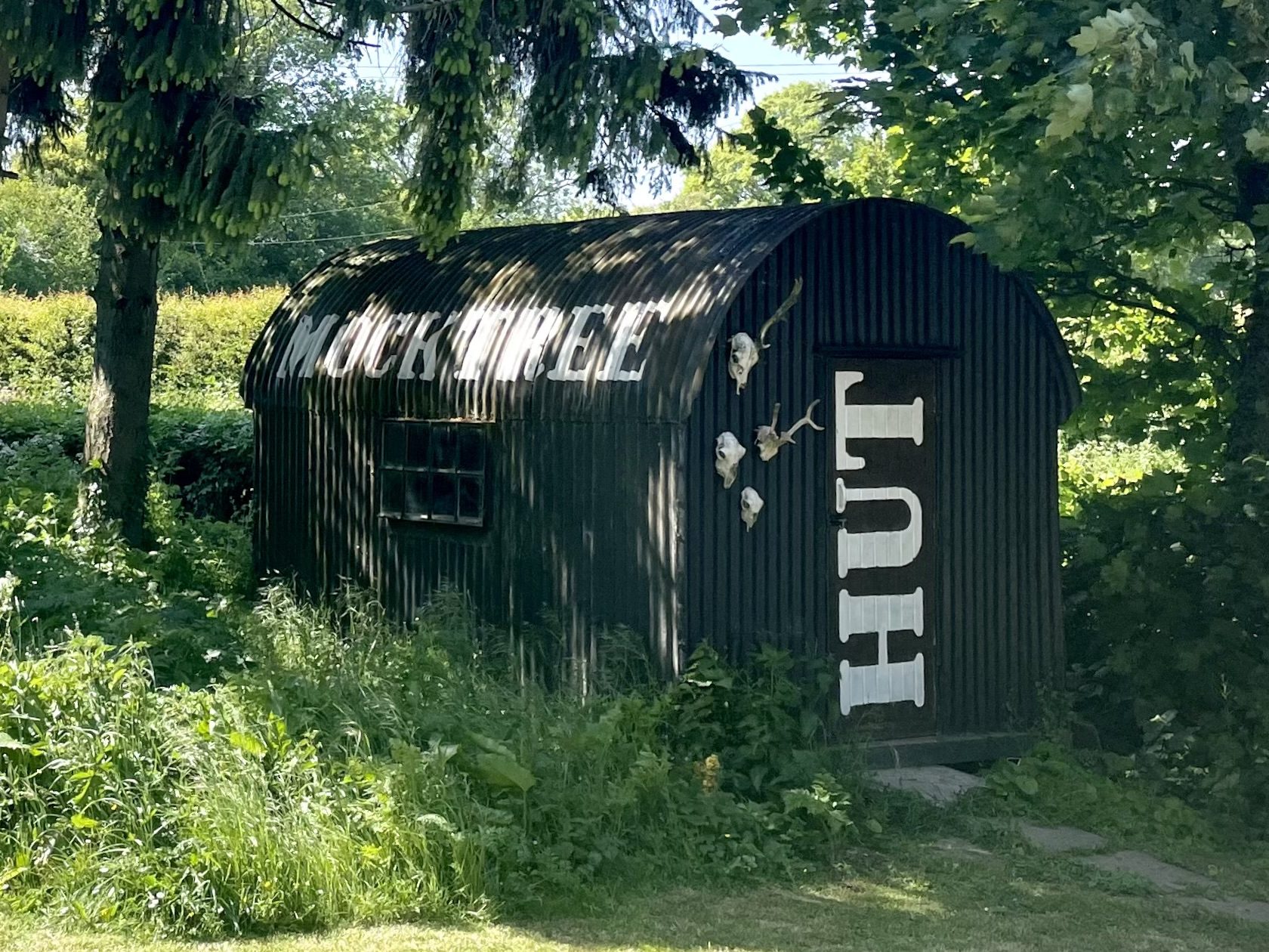 Mocktree’s Hut full of games and movies