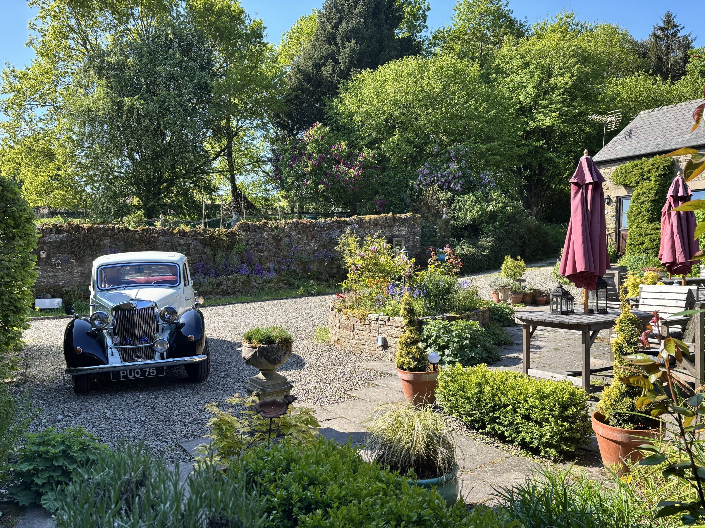 Our Courtyard in the Summer