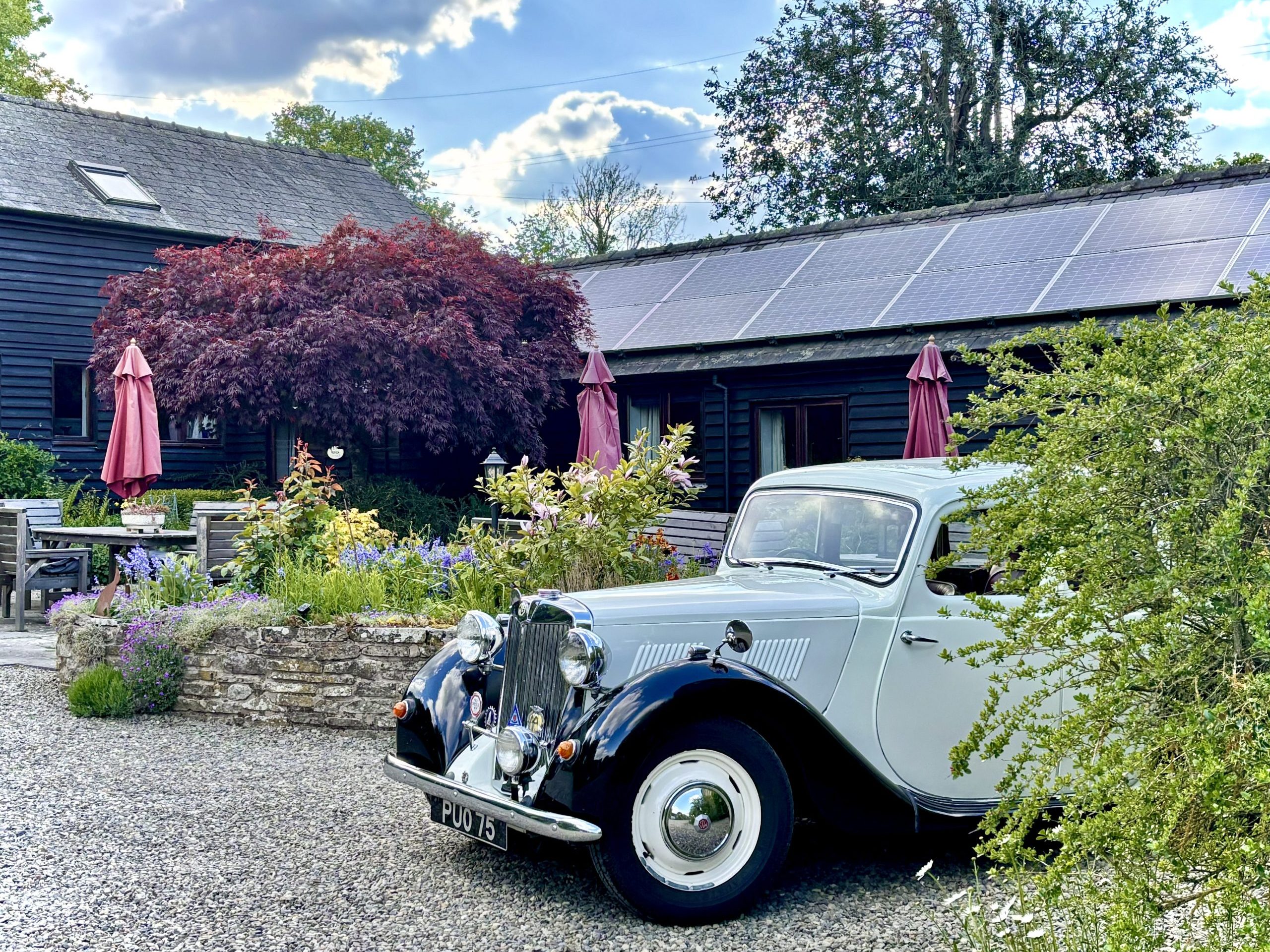 Mocktree’s Courtyard