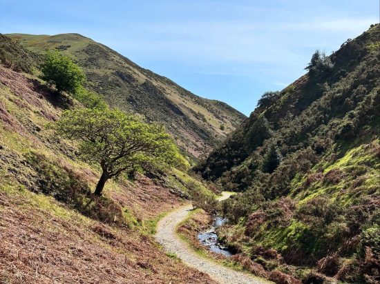 National Trust’s Cardingmill Valley and Long Mynd