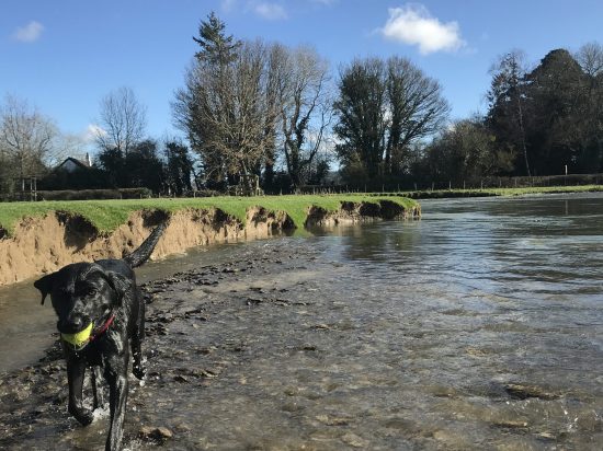 The River Teme in Leintwardine