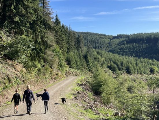 Walking in Hopton Forest