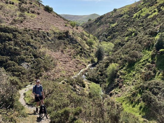 Walks up the Long Mynd Valleys from the Strettons