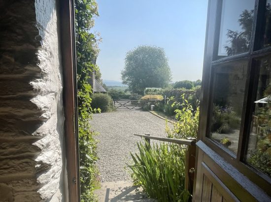 Views from the stable door
